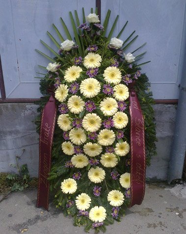 KRIZANTEMA - Cvjećarnica Slavonski Brod