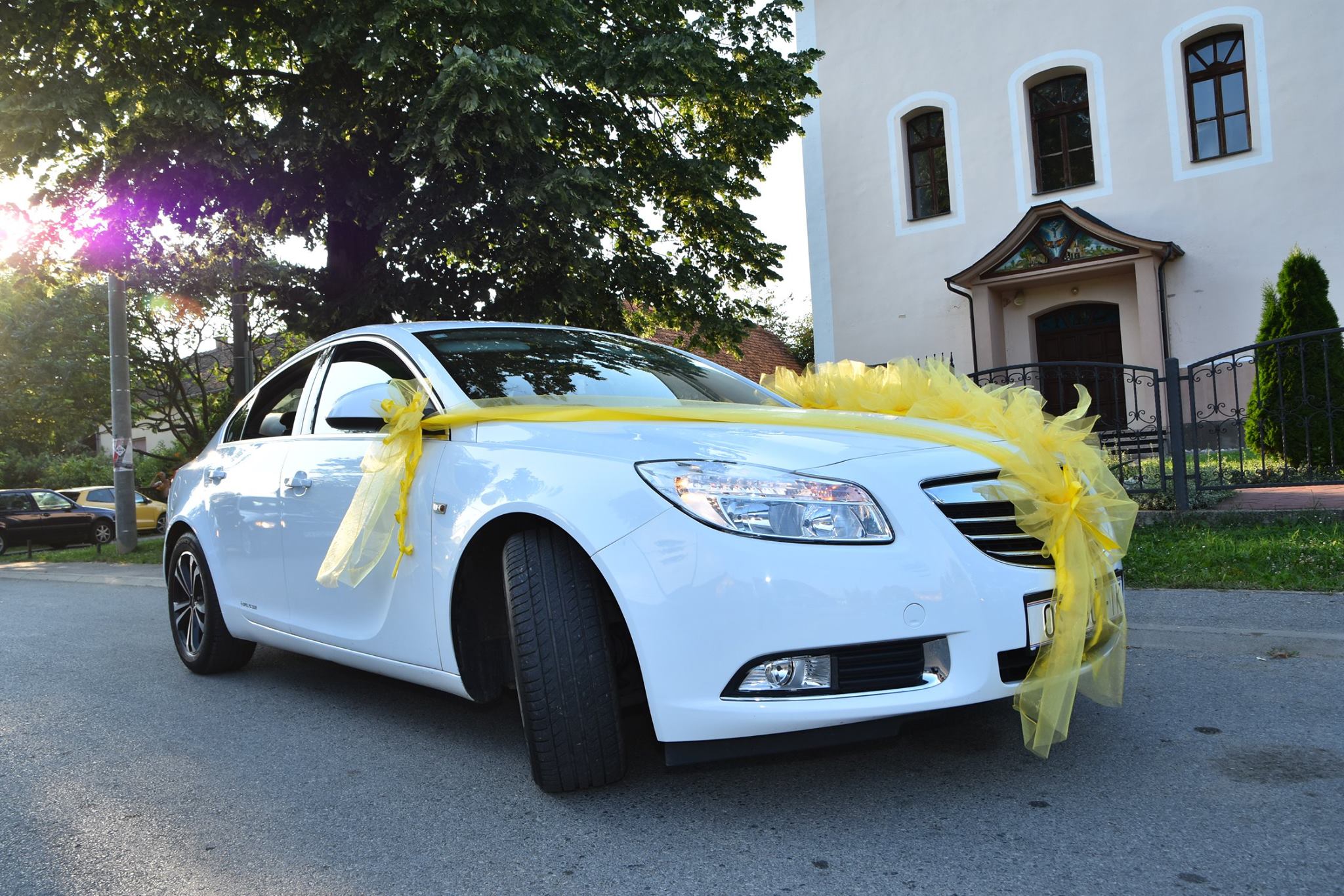 KRIZANTEMA - Cvjećarnica Slavonski Brod